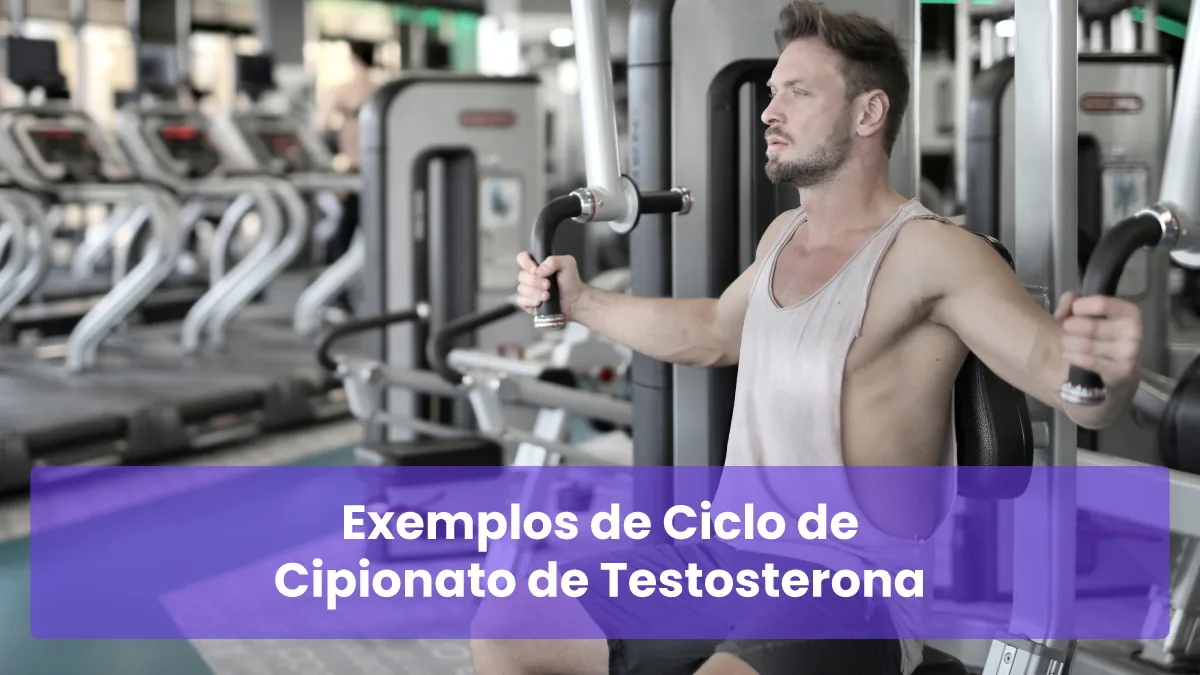 Exemplos de Ciclo de Cipionato de Testosterona
